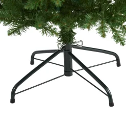 Pre-Lit Christmas Trees*The Holiday Aisle Slender Green Artificial Pine Feather Christmas Tree With Led Lights