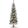 Pre-Lit Christmas Trees*The Holiday Aisle Snowy Downswept Forestree 4' Green Fir Artificial Christmas Tree With 50 Clear/White Lights