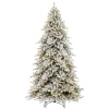 Pre-Lit Christmas Trees*Vickerman 10' X 67" Flocked Bavarian Pine Artificial Pre-Lit Tree, Dura-Lit® Warm White Mini Lights.