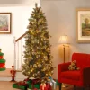 Pre-Lit Christmas Trees*The Holiday Aisle Wintry Pine 7' Slender Green Flocked/Frosted Christmas Tree With 300 Lights